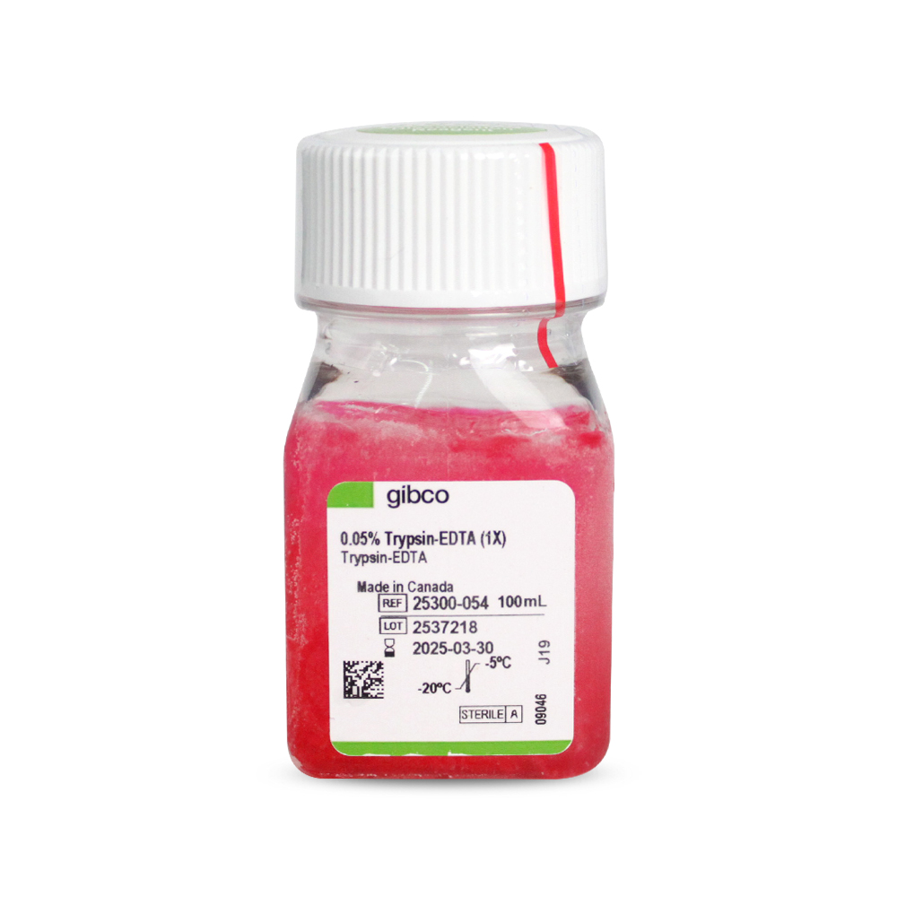 胰酶細(xì)胞消化液（0.05%胰酶，含EDTA，含酚紅）