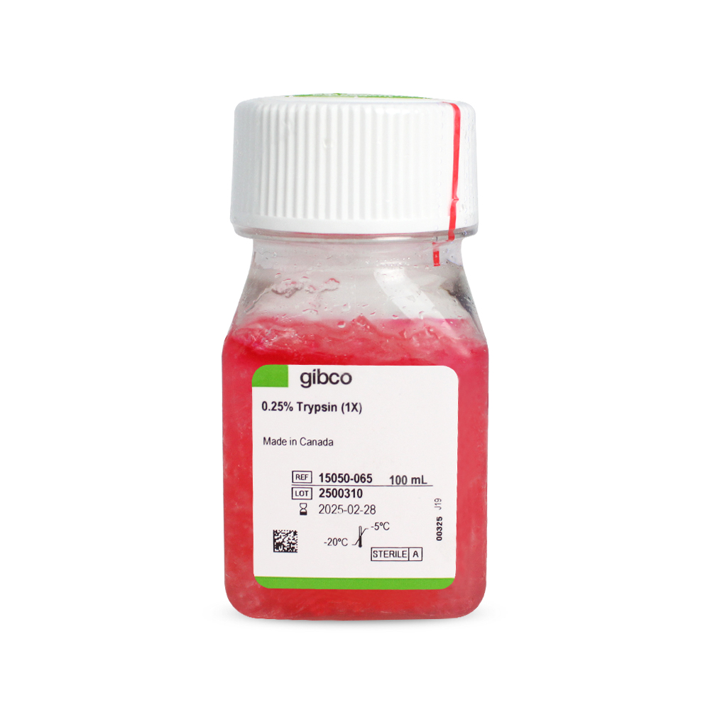 胰酶細(xì)胞消化液（0.25%胰酶，不含EDTA，含酚紅）